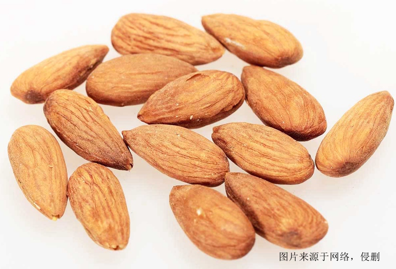 佛山進口越南扁桃仁報關資料代理堅果食品海運案例