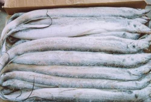 冷凍水產(chǎn)品進口清關(guān)