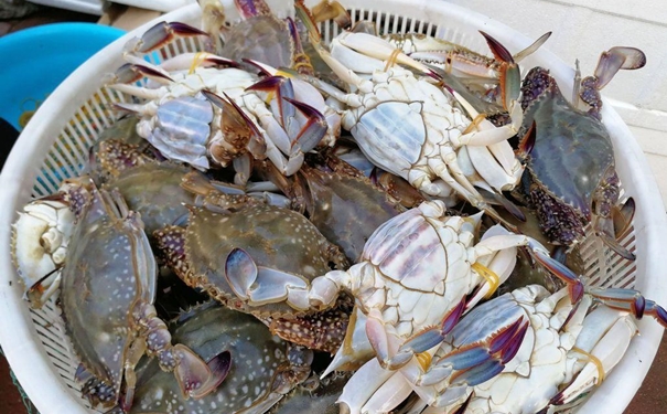 冷凍蟹進(jìn)口報(bào)關(guān)